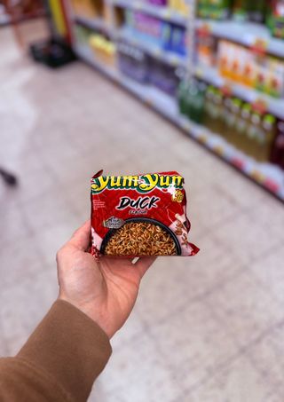 Duck Flavour